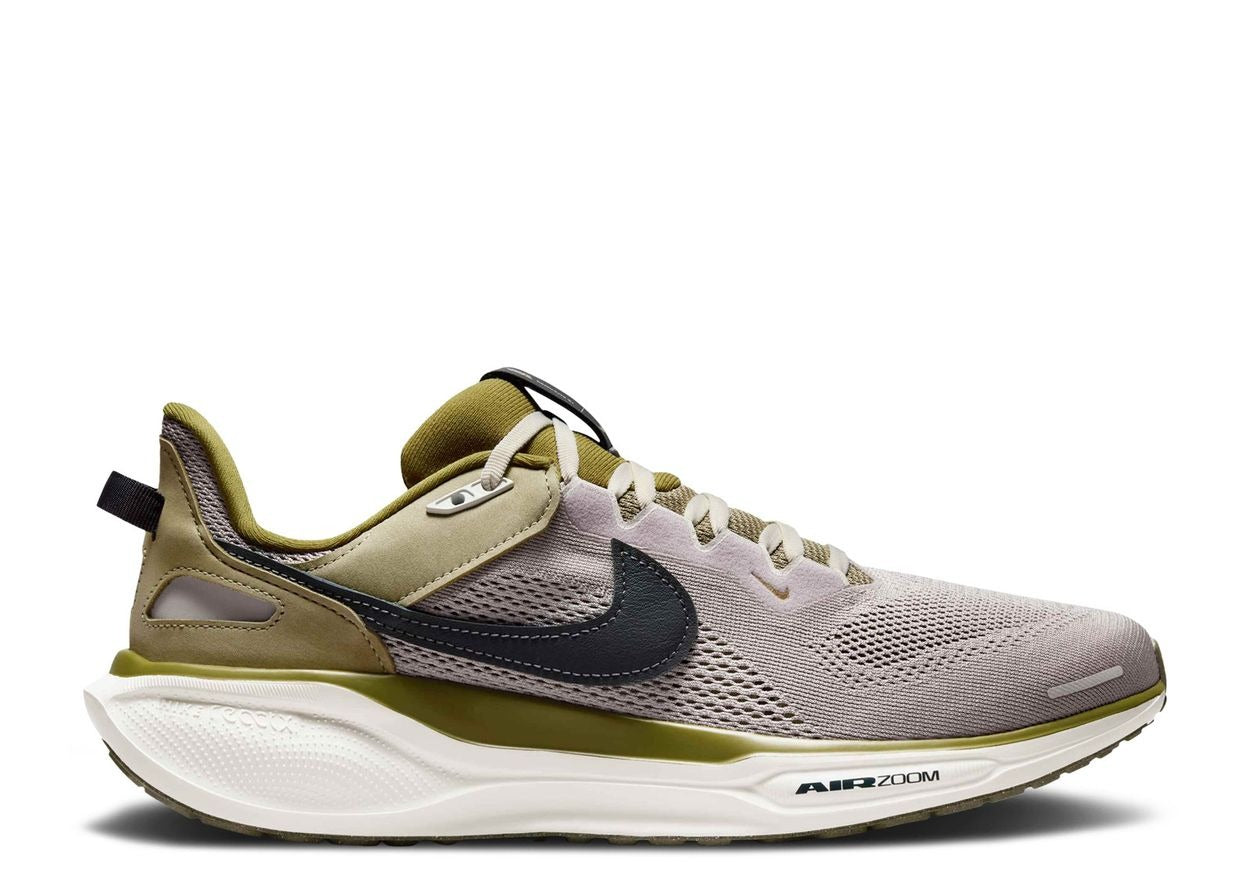 Nike Air Zoom Pegasus 41 SP "College Grey Anthracite" 2024