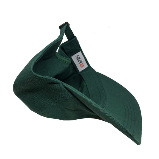 Parlor 23 "Celebration Get Money" (Green) Strapback