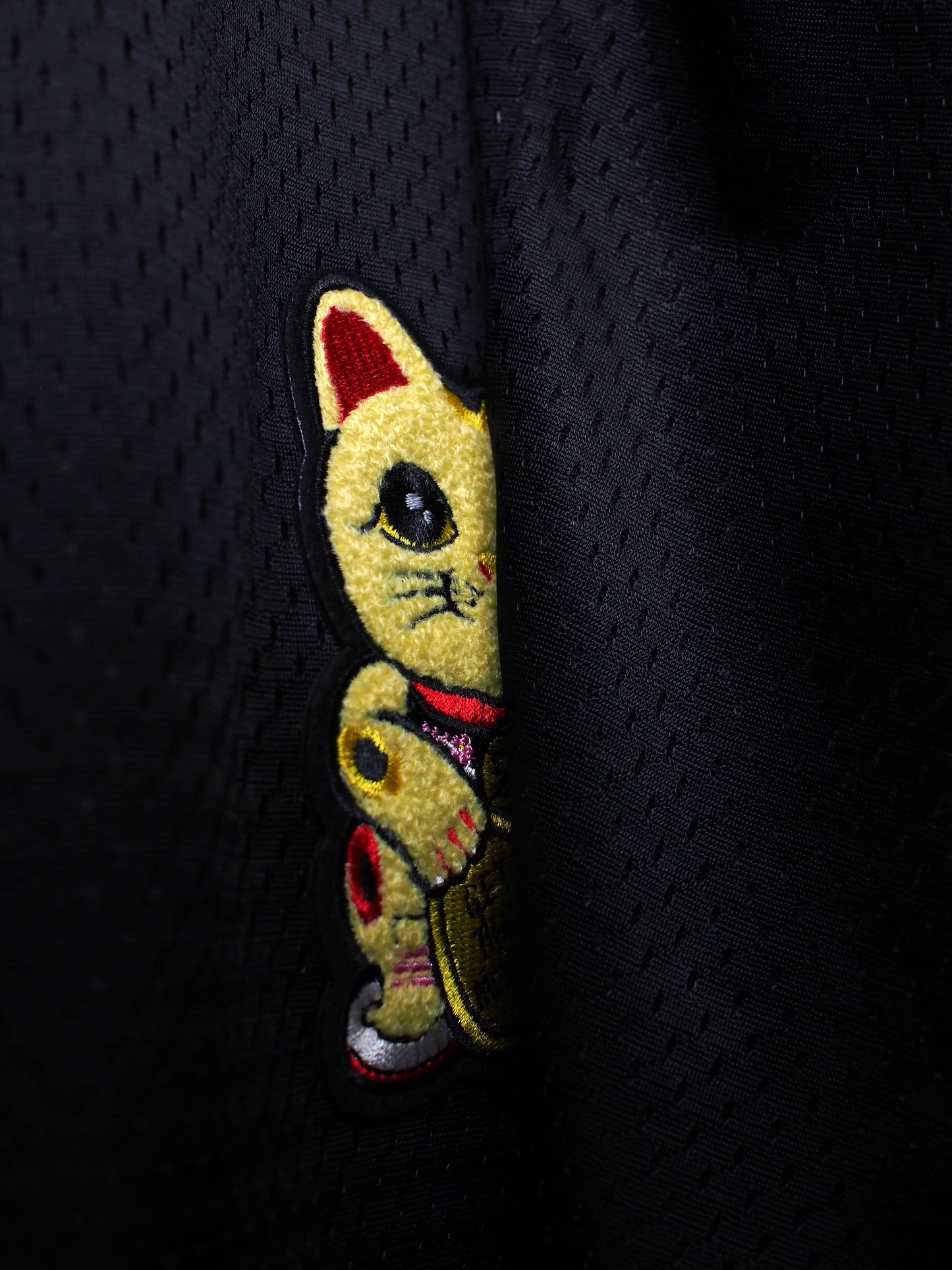 Parlor 23 x Champion Chenille "Patina Moneycat" Mesh Shorts