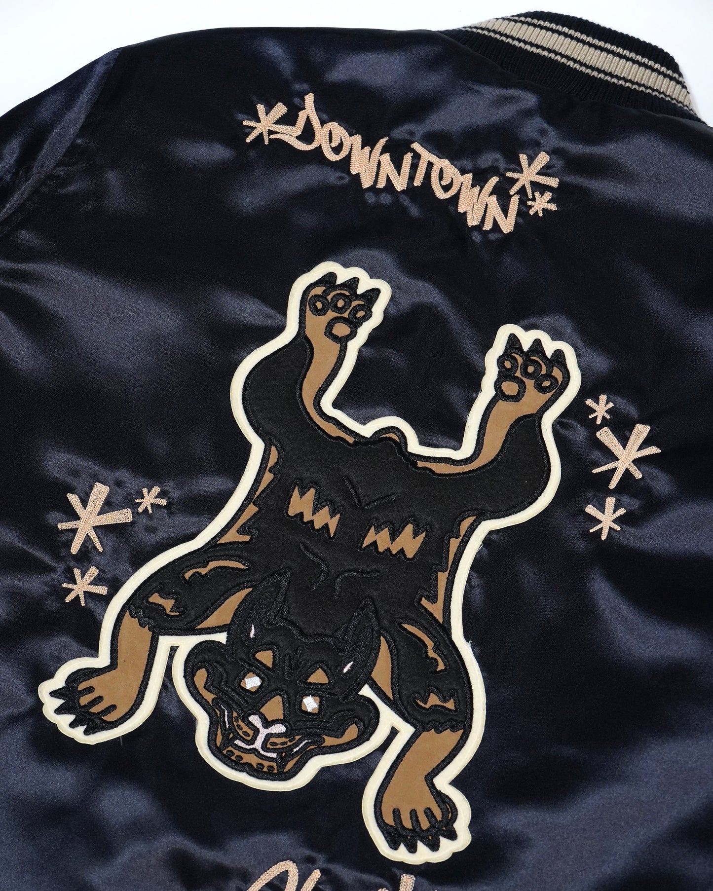 "Downtown Champions" Youth Satin Varsity