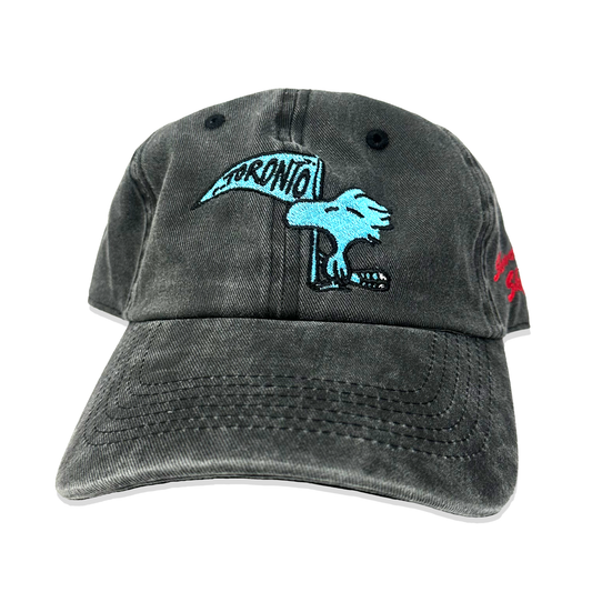 "Showdown At Skydome" Pigment Dyed Cap