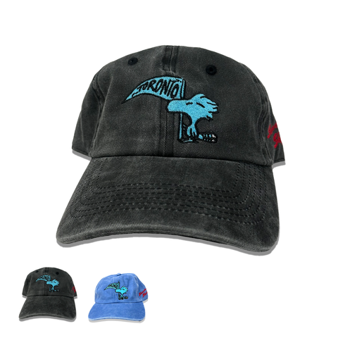 "Showdown At Skydome" Pigment Dyed Cap