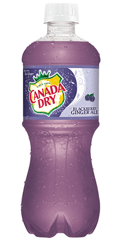 Canada Dry "Black Berry" 591ml