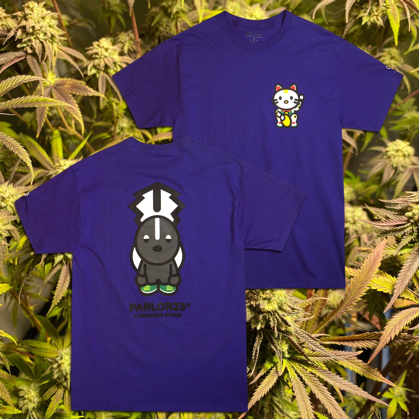 Parlor 23 "Baby Money and Skunky" T-Shirt