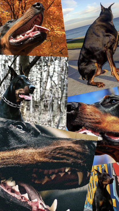 Parlor 23 "Krueger Forever" Heavyweight Made In Canada T-Shirt