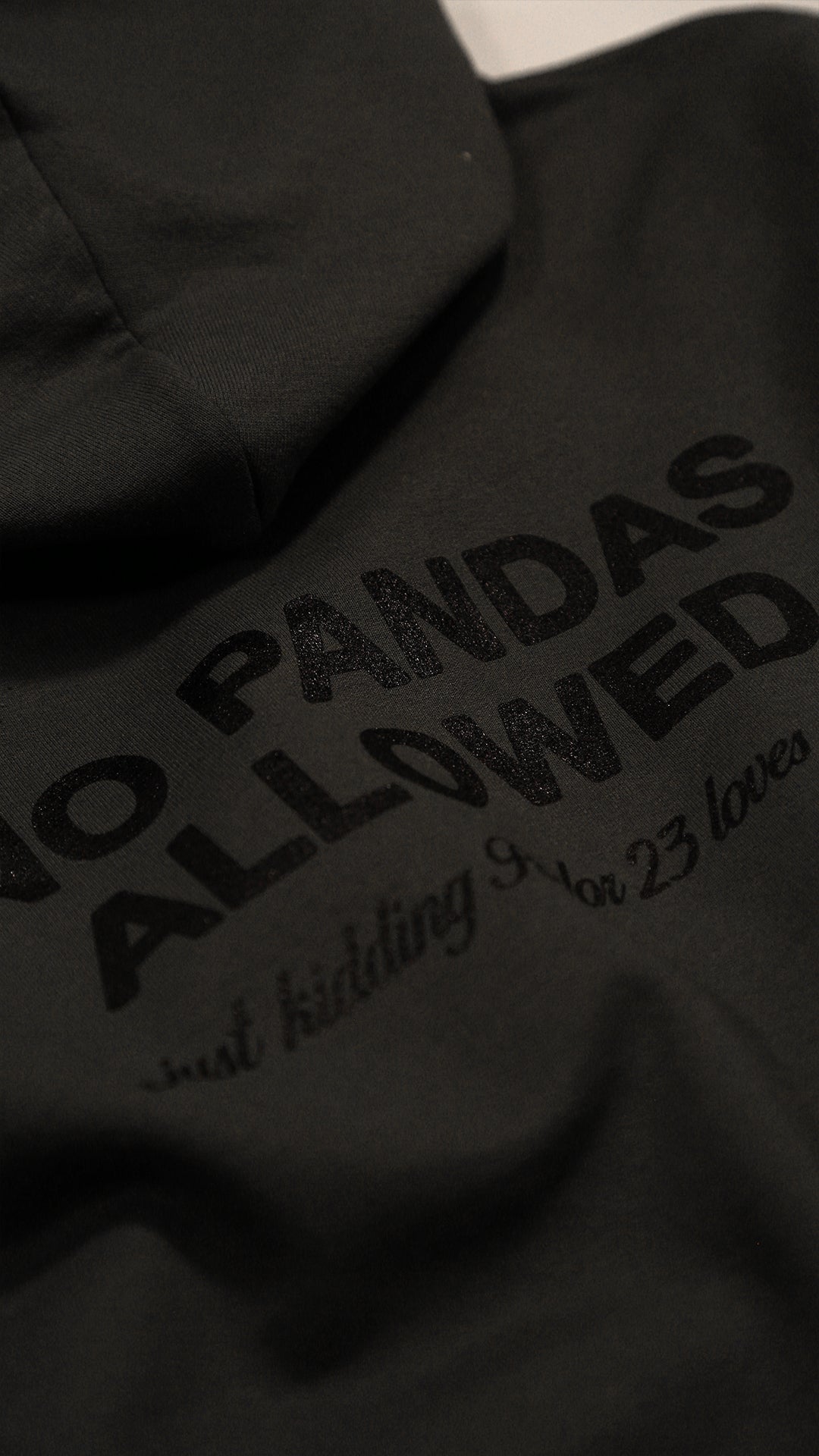 Parlor 23 x Champion "No Pandas Allowed" Hoodie