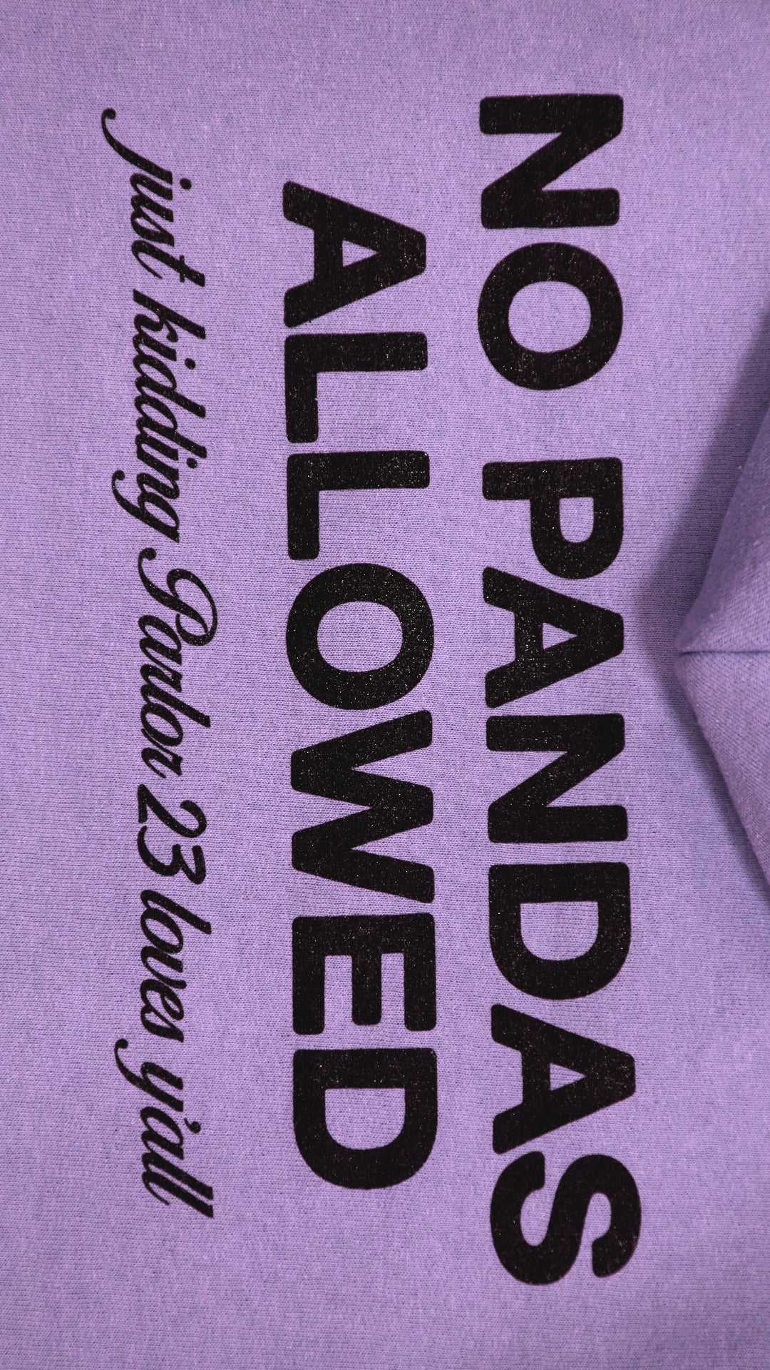 Parlor 23 x Champion "No Pandas Allowed" Hoodie