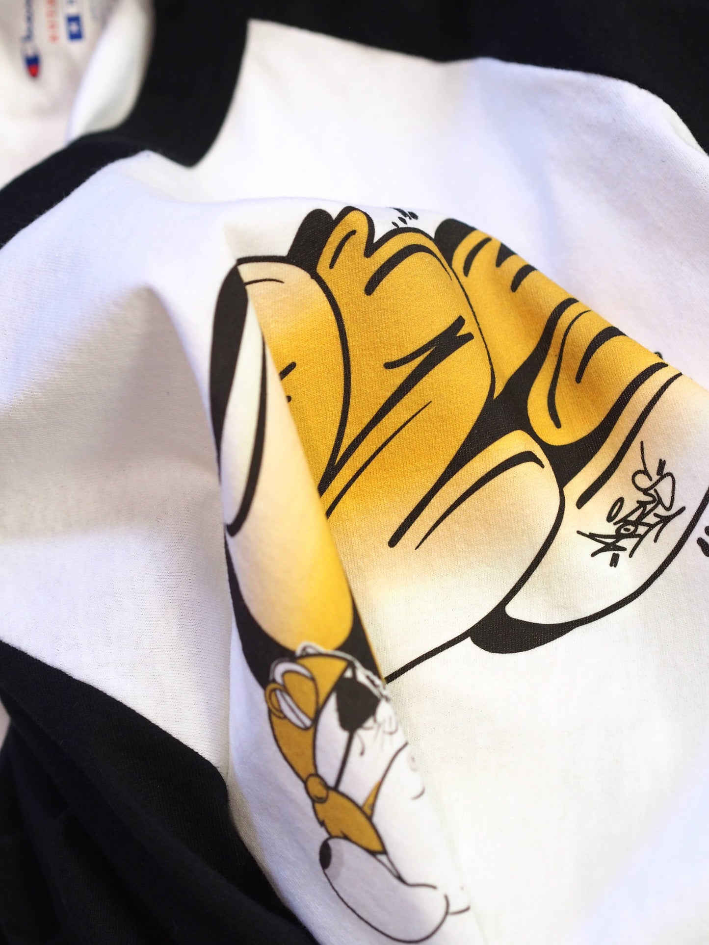 Parlor 23 X Champion "PRLR Pirate" Raglan