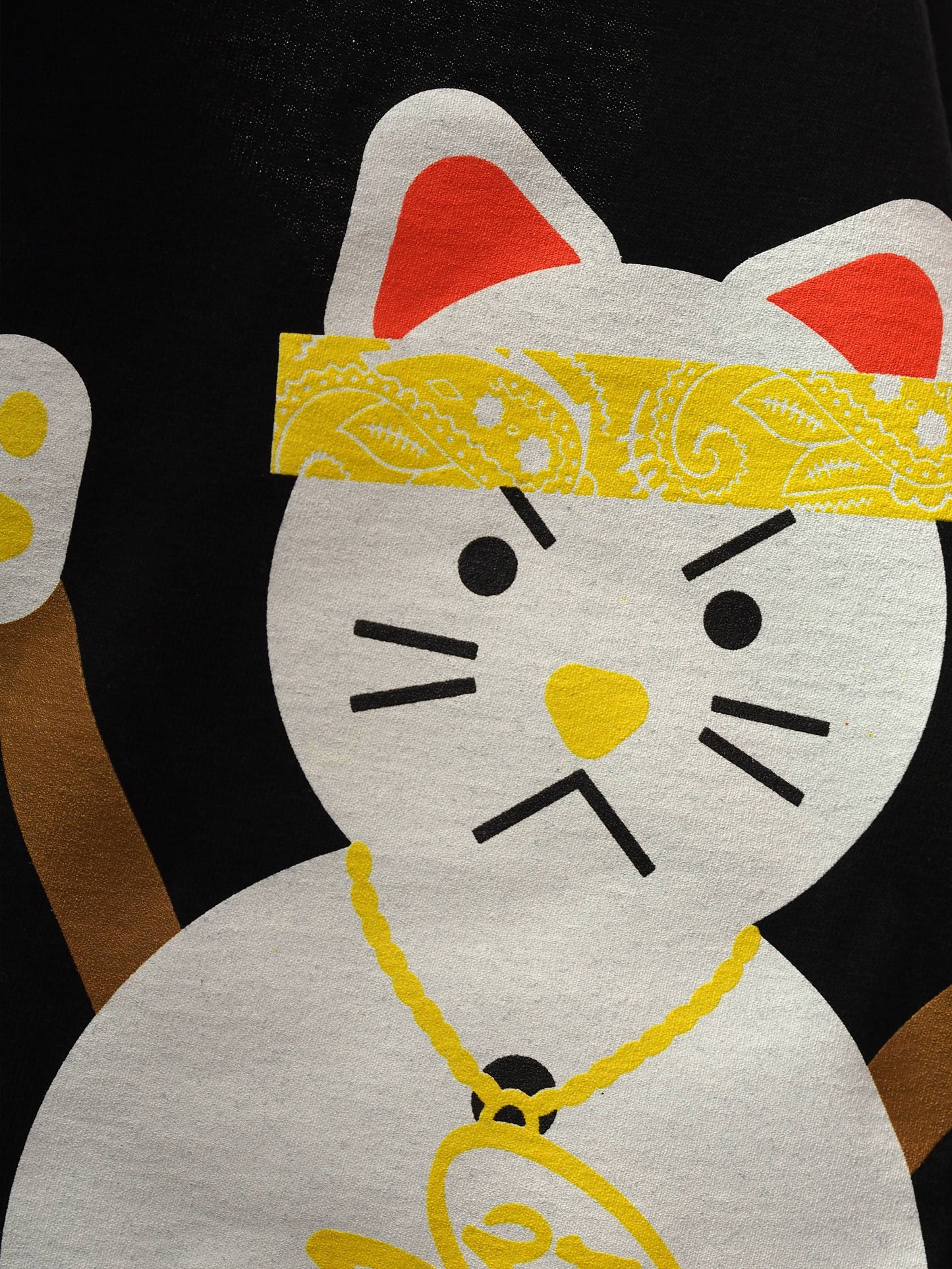 Parlor 23 X Champion "Trap Cat" Youth T-Shirt