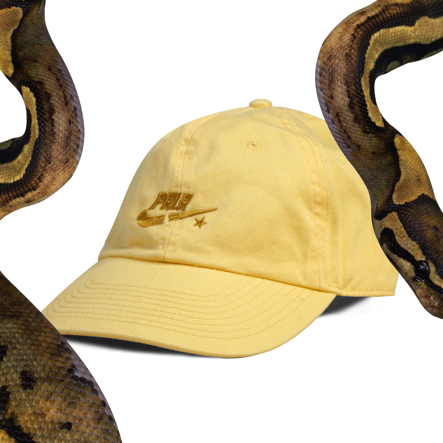 Parlor 23 "Swoosh Stars" Dad Cap