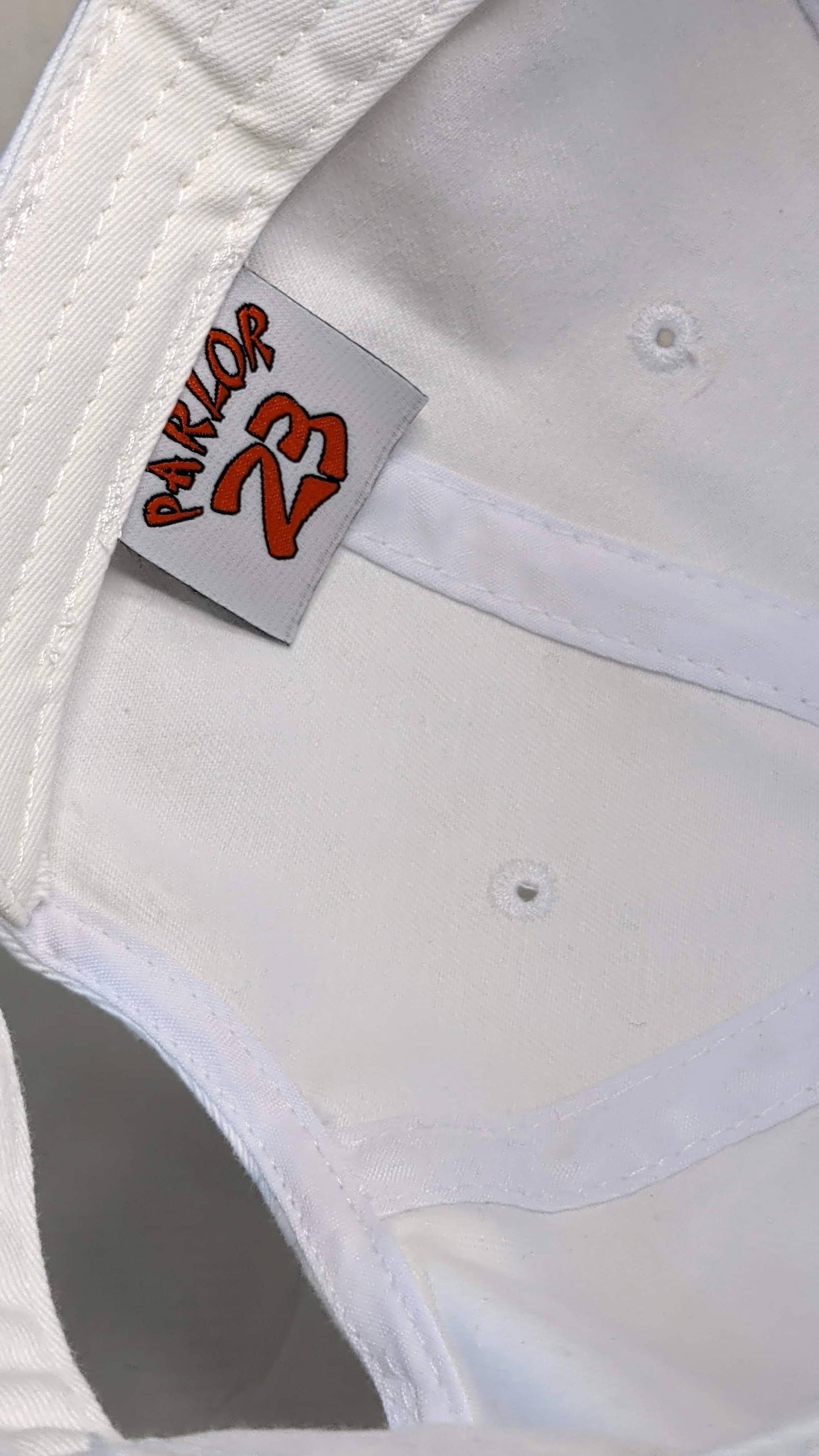 Parlor 23 "Swoosh" Dad Cap