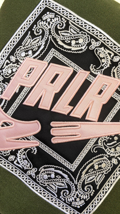 Parlor 23 "Swoosh Bandana" Pillow